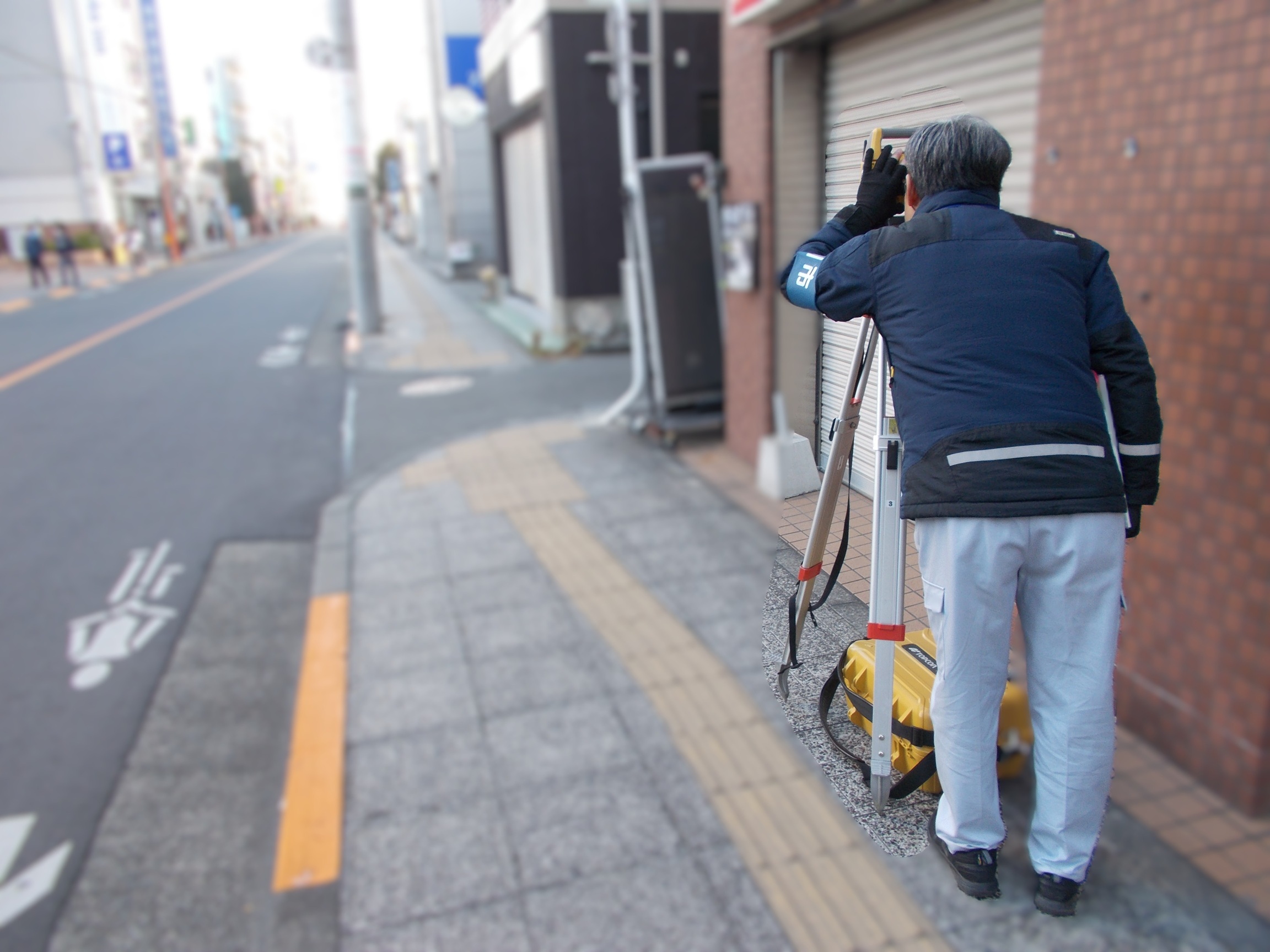占用調査